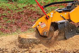 How Our Tree Care Process Works  in  East Massapequa, NY