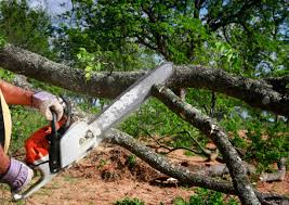 Best Aeration Services  in East Massapequa, NY